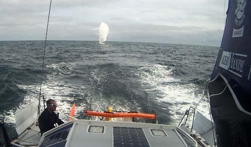 2014 Normandy Channel Race © Normandy Channel Race